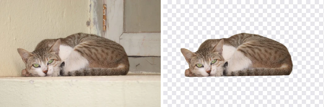 A cat lying on a wall and the same cat cut out on a transparent background