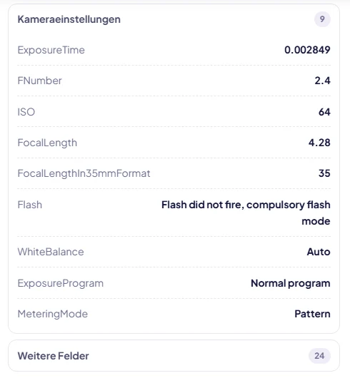 Screenshot mit den Kameraeinstellungen eines Fotos: Belichtungszeit, Blende, ISO, Brennweite, Blitz und Weißabgleich